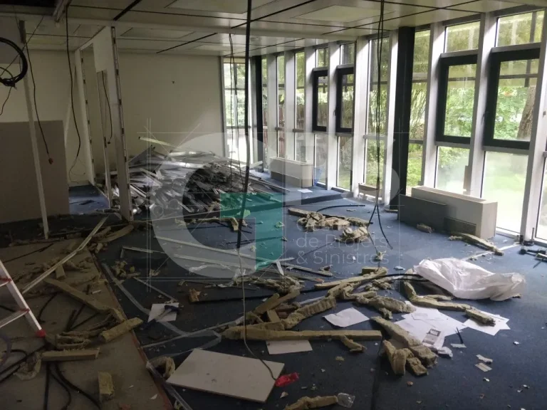 Expert Sinistre à CHAMPAGNE SUR SEINE (77430) - GPS Batiment - Centre Euro-Asie - Démolition / Curage