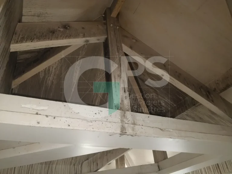 Expert Sinistre à CHAMPAGNE SUR SEINE (77430) - GPS Batiment - Maison individuelle - Expertises