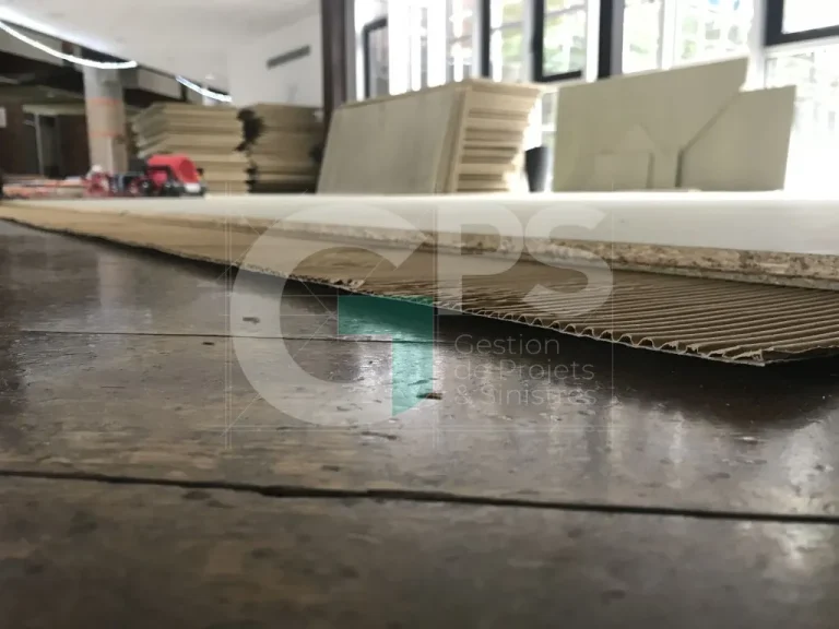 Expert Sinistre à CHAMPAGNE SUR SEINE (77430) - GPS Batiment - Centre Euro-Asie - Démolition / Curage